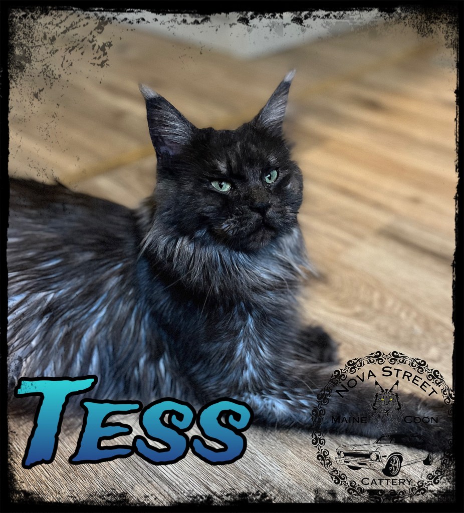 7acf0fad-8c5b-493c-b863-7f4cccf26e8a-1